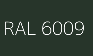 Szín RAL 6009